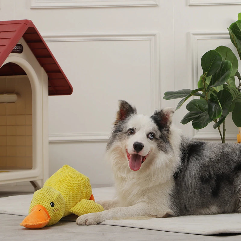 plush duck dog toy with squeaker - MRSLM