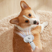 2 in 1 pet hair dryer and comb - MRSLM