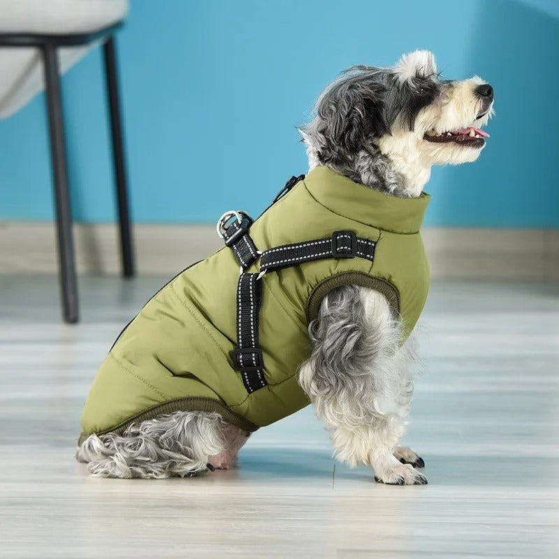 waterproof dog coat with harness - MRSLM