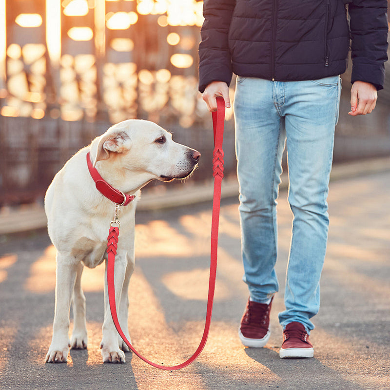 Guia para cães em couro genuíno de 1,5 m