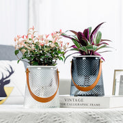 self-watering succulent planter - MRSLM