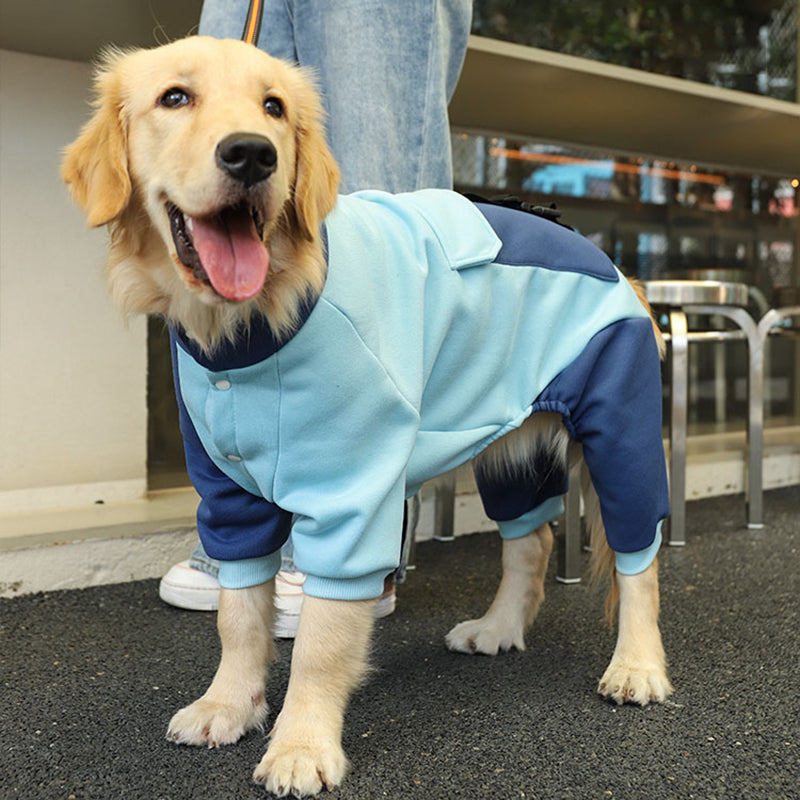 sporty big dog jacket, view 5 - MRSLM