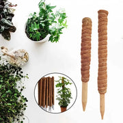 Coir moss stick for indoor plants, view 2 - MRSLM