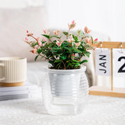 self-watering succulent flower vase, view 2 - MRSLM