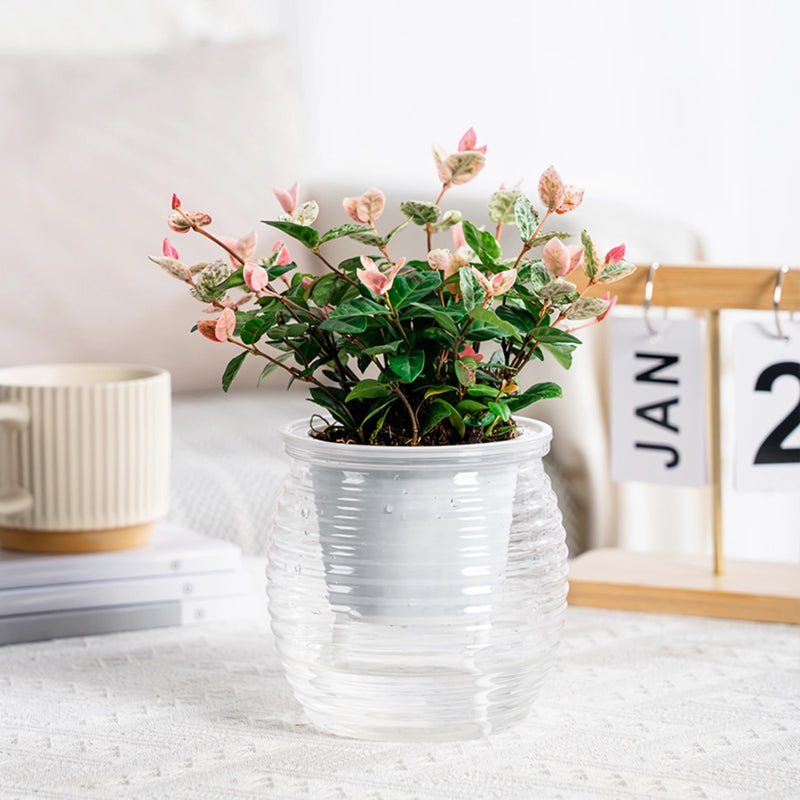self-watering succulent flower vase, view 2 - MRSLM
