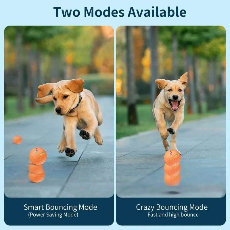 rolling ball dog toy, view 9 - MRSLM