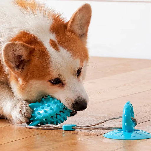 durable dog chew toy with suction cup - MRSLM