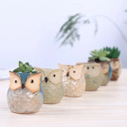 Mini owl ceramic planter, view 9 - MRSLM