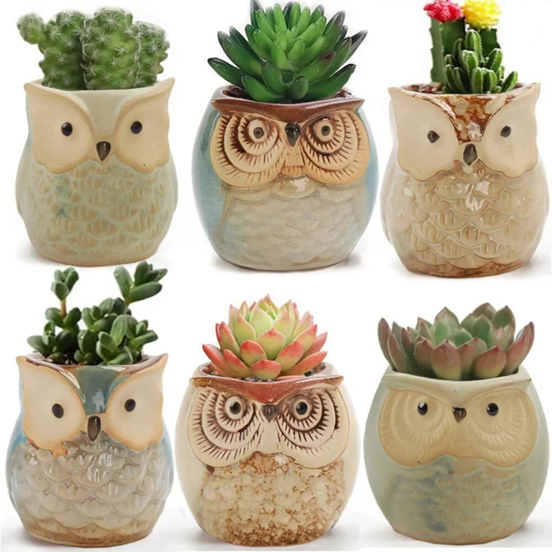 Mini owl ceramic planter, view 10 - MRSLM