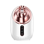 nano mist face steamer - MRSLM