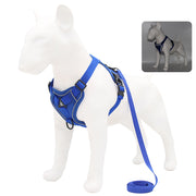 no-pull dog harness and leash set, view 2 - MRSLM