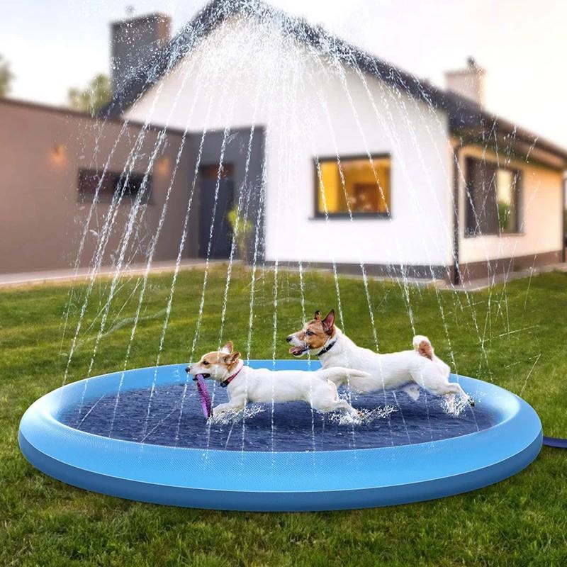 Piscina interativa para cães com tapete de aspersão