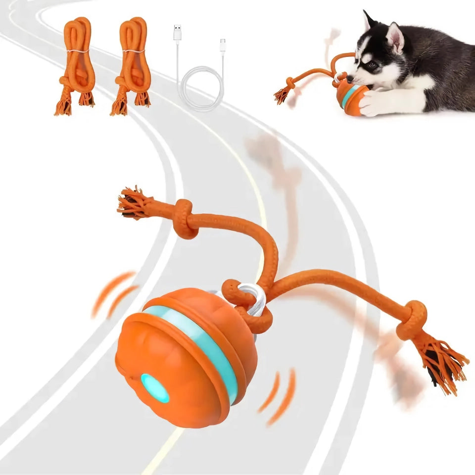 Bola interativa com rolamento ativada por movimento para cães e gatos.