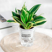 self-watering transparent succulent planter, view 6 - MRSLM