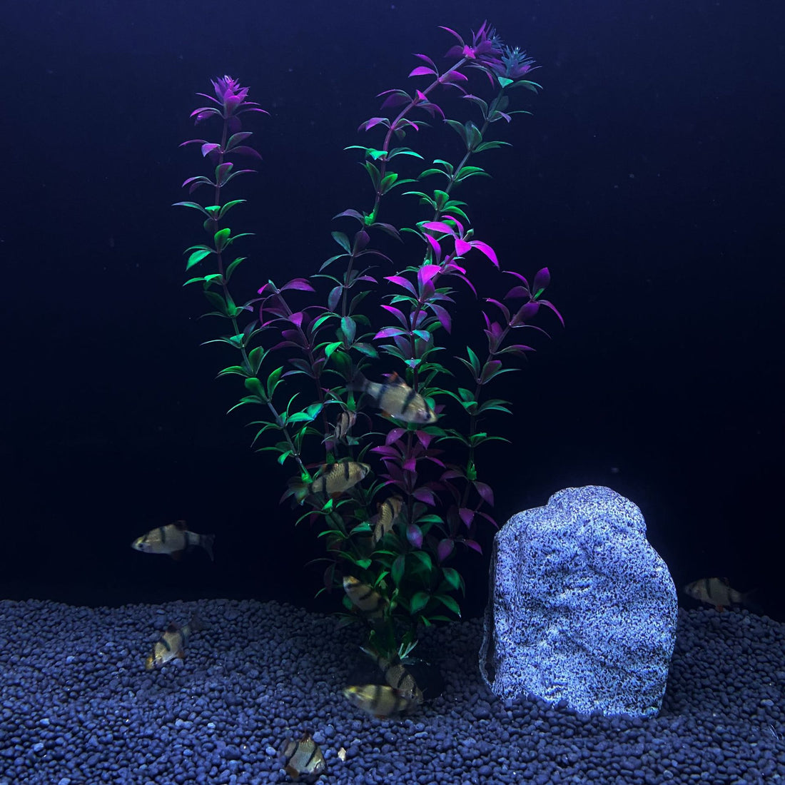 Planta artificial para aquário com 30 cm de altura