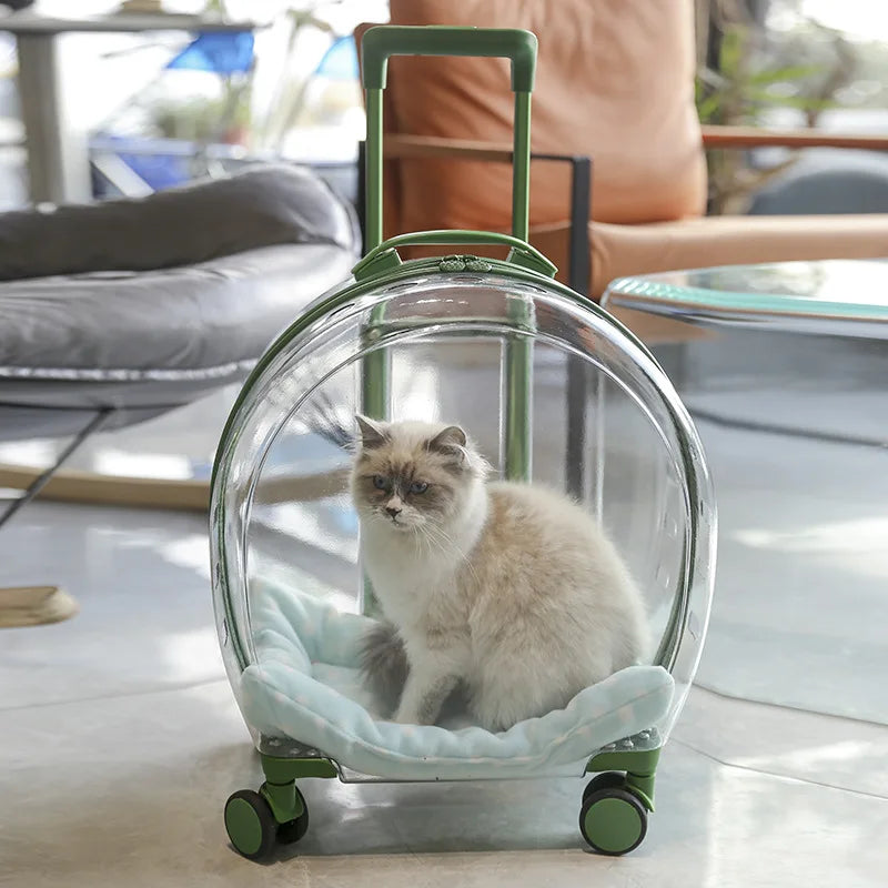 transparent pet trolley backpack, view 5 - MRSLM