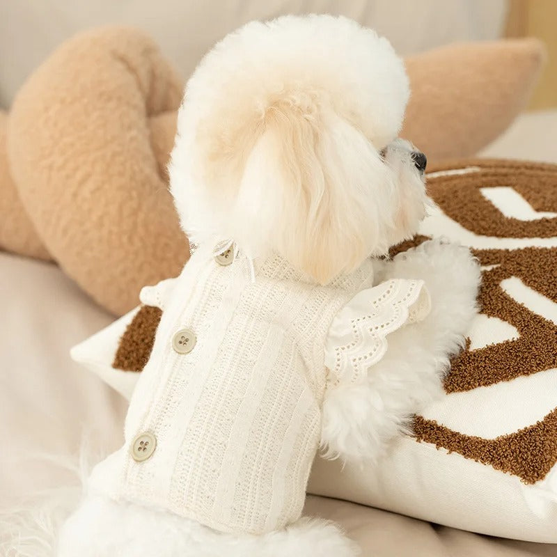 Colete de renda quentinho para cães pequenos