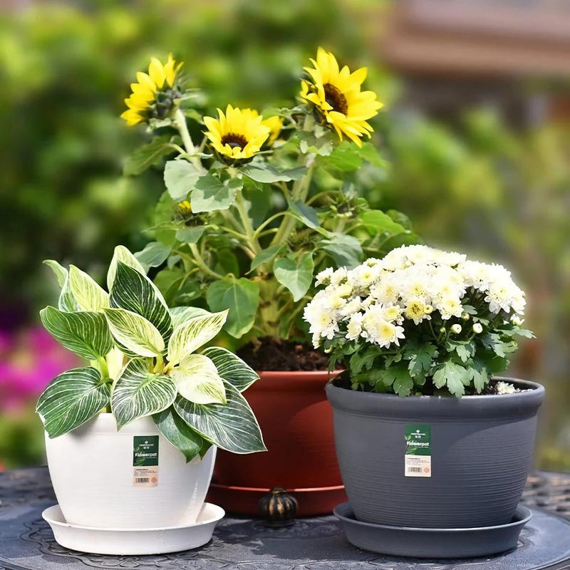 Round indoor plant pot with tray, view 6 - MRSLM