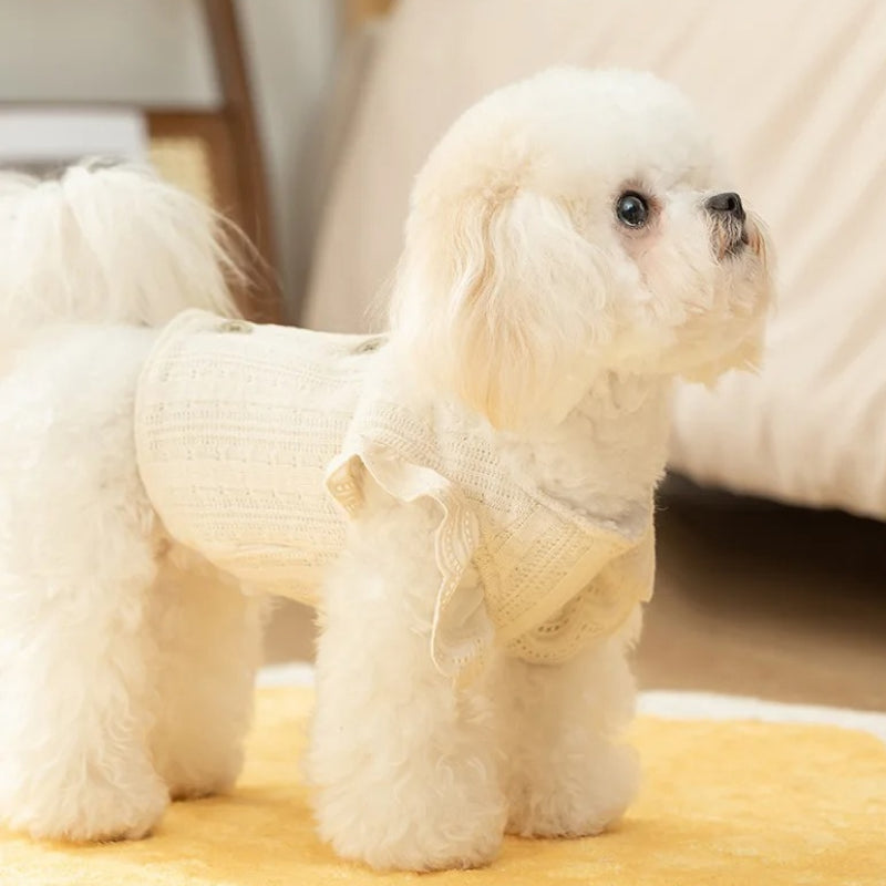 Colete de renda quentinho para cães pequenos