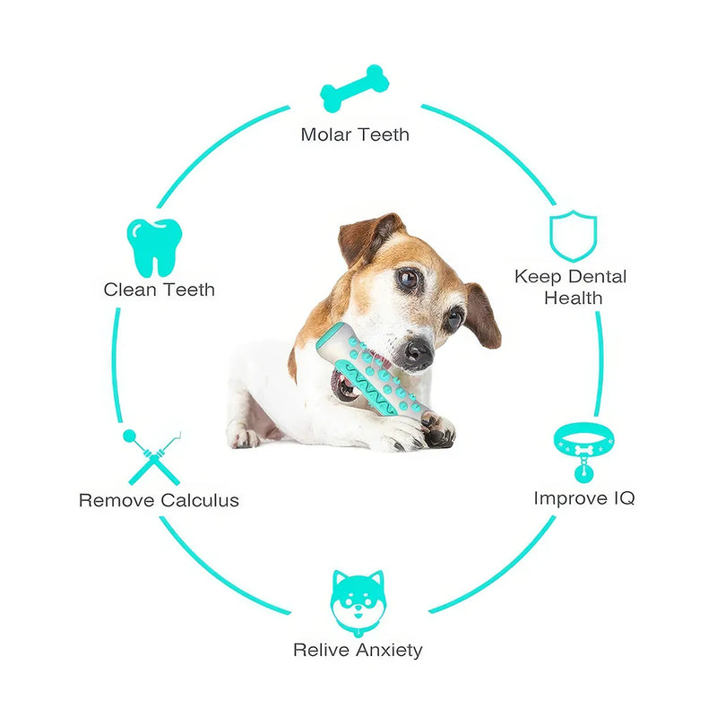 dog toothbrush stick toy, view 11 - MRSLM