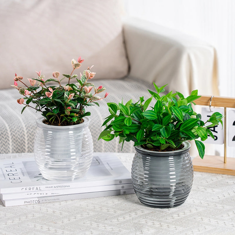 self-watering succulent flower vase, view 7 - MRSLM