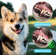pet finger toothbrush, view 7 - MRSLM