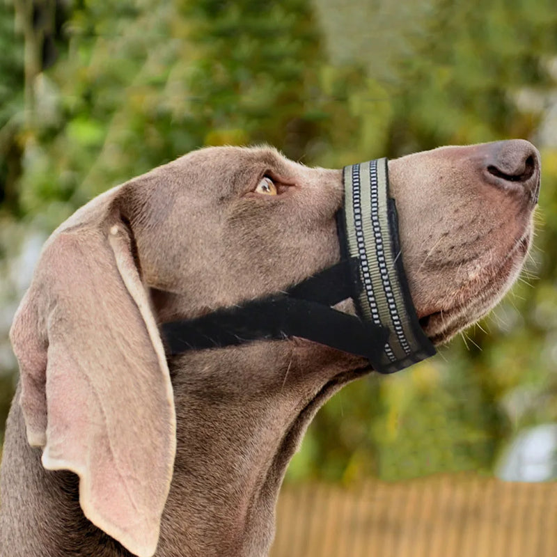reflective dog muzzle, view 6 - MRSLM