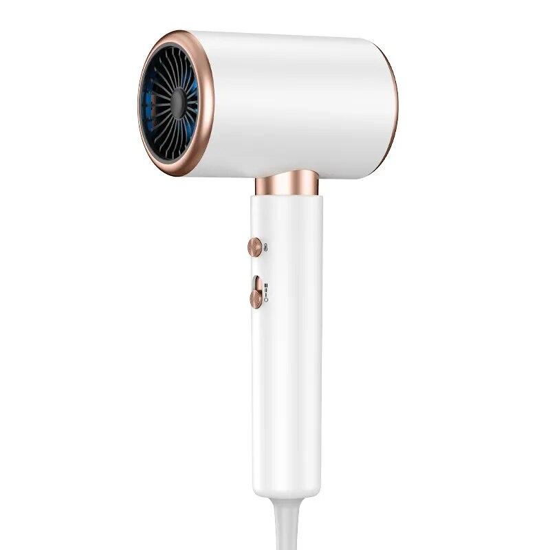 Secador de cabelo iônico profissional de 2200 W