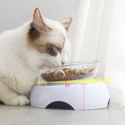 15 degree tilt pet bowl with non-slip stand, view 5 - MRSLM