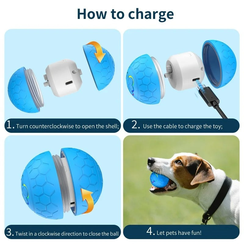 rolling ball dog toy, view 11 - MRSLM