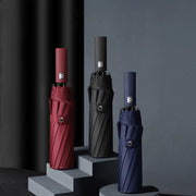 compact auto umbrella - MRSLM