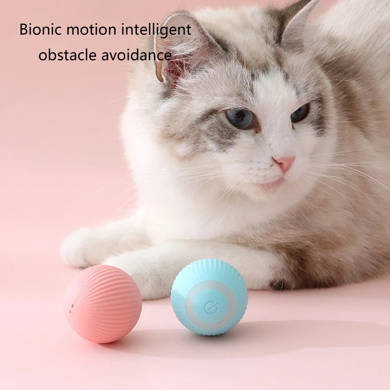 Bola interativa inteligente para gatos
