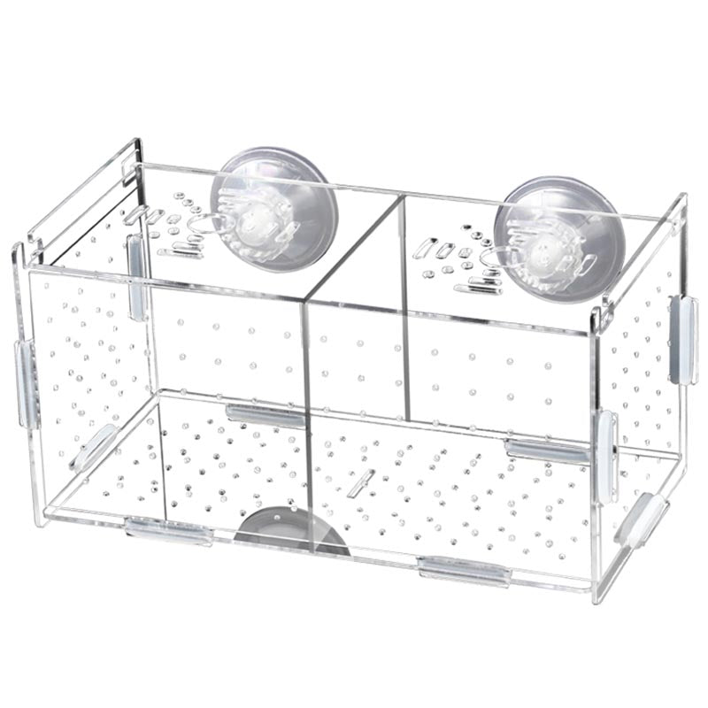 Caixa de Acrílico para Criação de Guppies