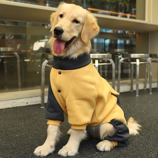 sporty big dog jacket, view 2 - MRSLM