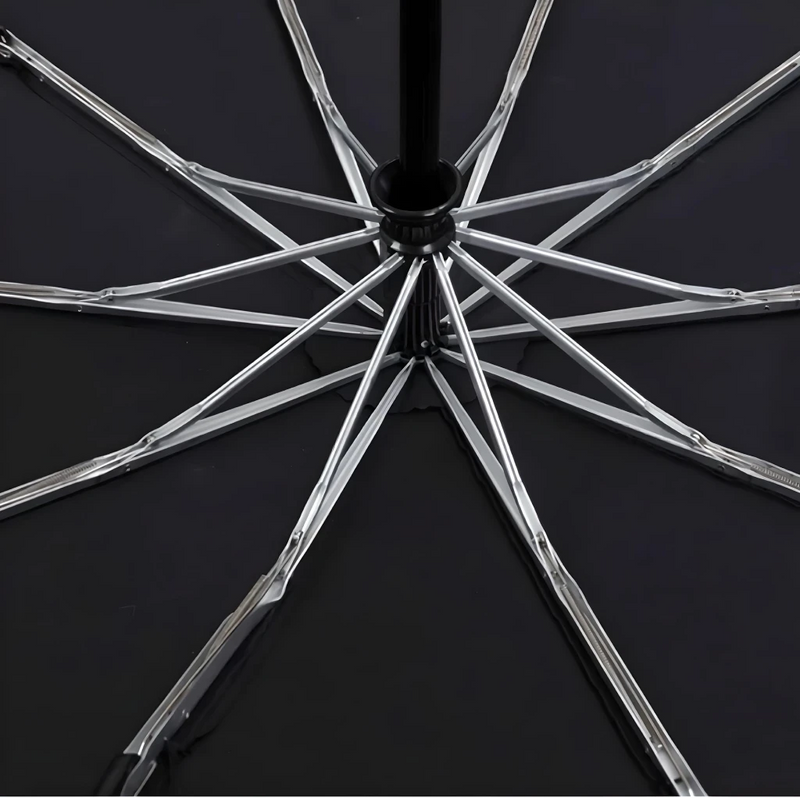 Executive Automatic Windproof Golf Umbrella