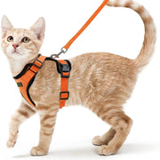 cat harness and leash, view 19 - MRSLM