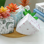 ceramic succulent pot set, view 9 - MRSLM