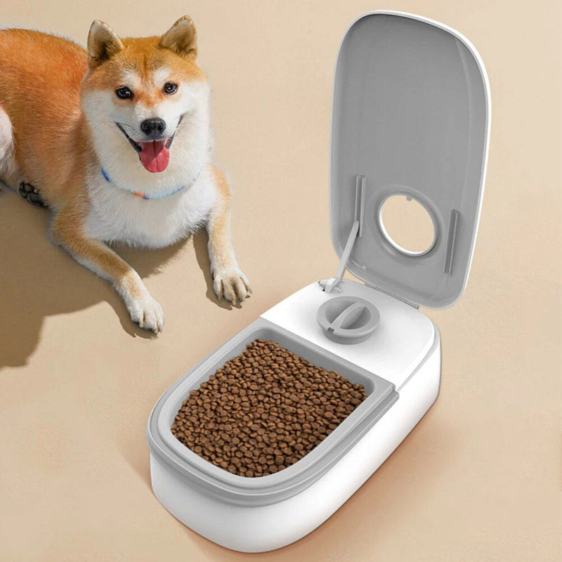 automatic pet feeder - MRSLM