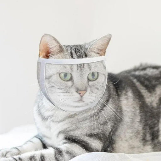 transparent cat muzzle - MRSLM