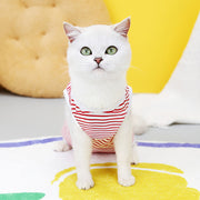 kitten recovery suit, view 6 - MRSLM