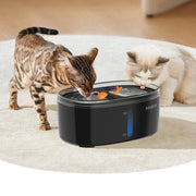 automatic pet water fountain with double bowl - MRSLM