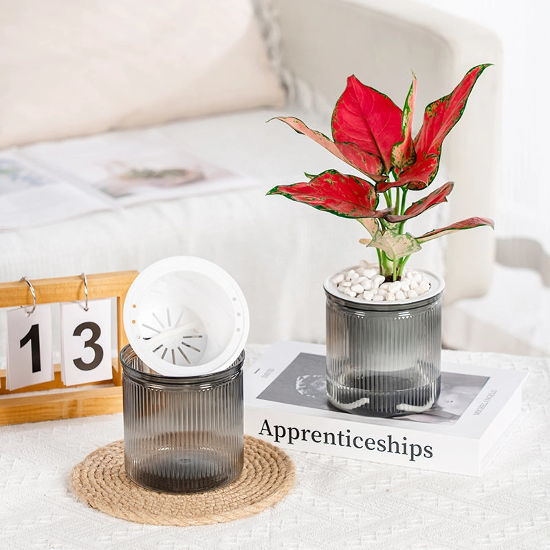 transparent self-watering succulent planter, view 6 - MRSLM