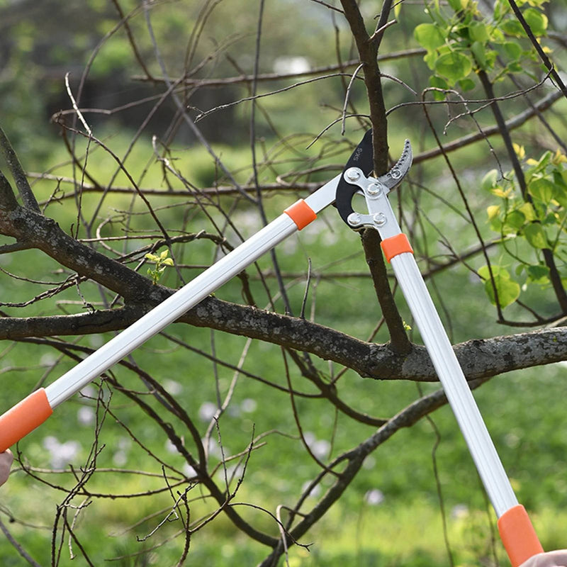 Hocheffiziente Amboss-Gartenschere