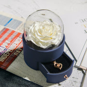 Preserved rose jewelry box with necklace - MRSLM