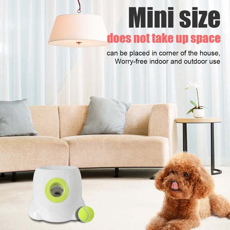Brinquedo interativo para cães: Lançador automático de bolas de tênis