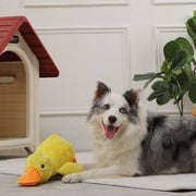 plush duck dog toy with squeaker, view 7 - MRSLM