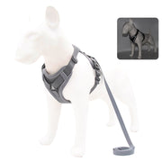 no-pull dog harness and leash set, view 4 - MRSLM