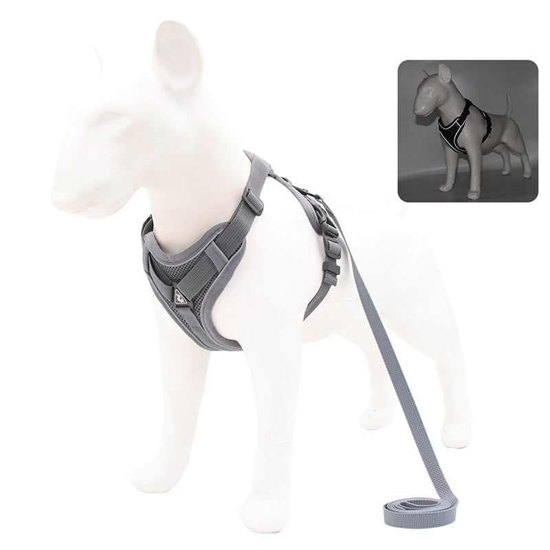 no-pull dog harness and leash set, view 4 - MRSLM