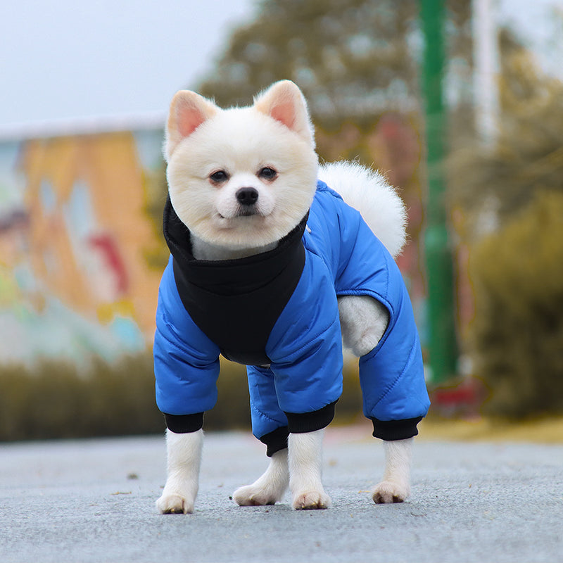 Casaco impermeável de inverno para cães com argola em D 