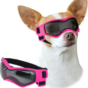 small dog sunglasses - MRSLM